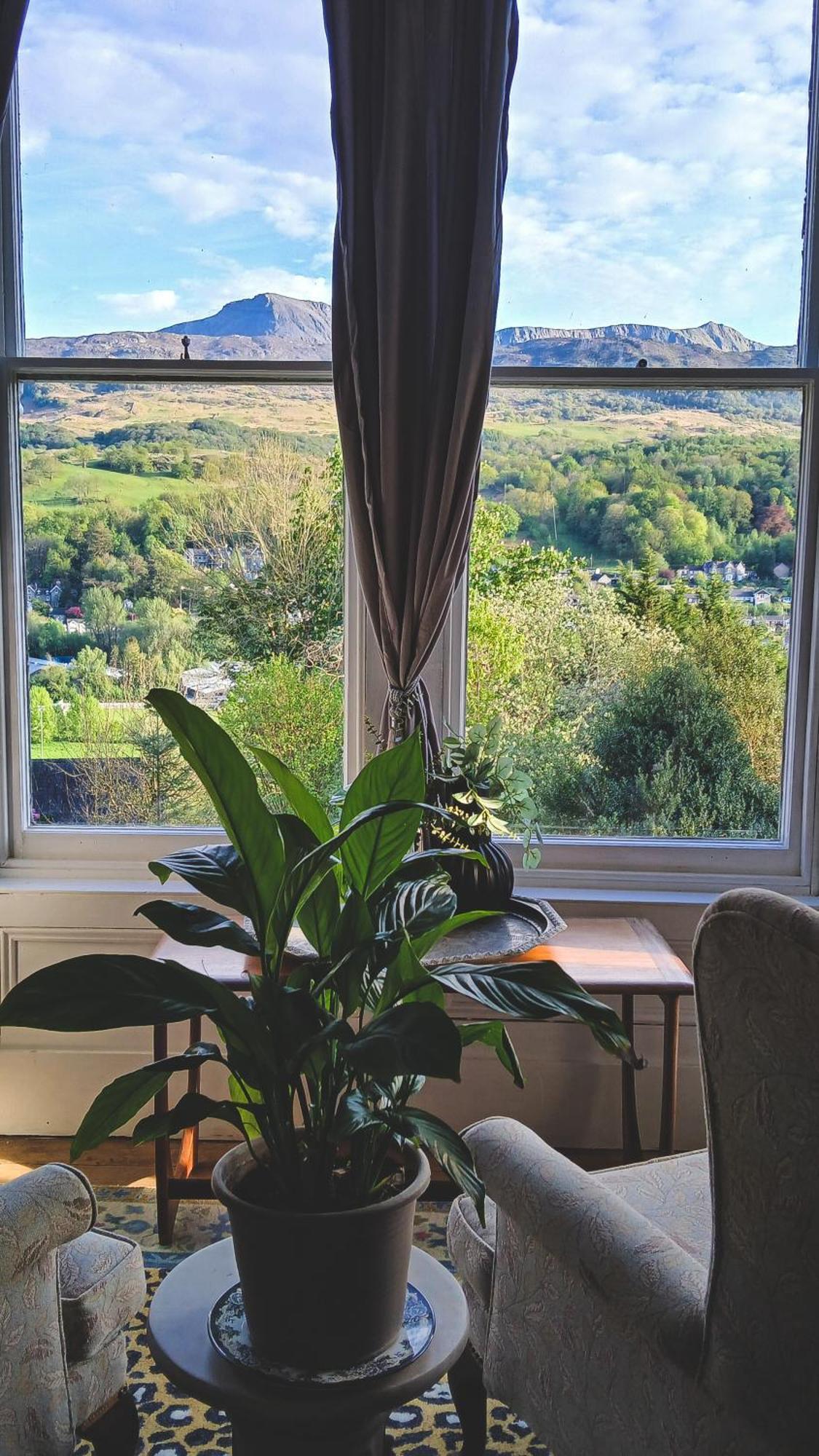 Amazing Cader Views Torrent En Suite Dolgellau Zewnętrze zdjęcie